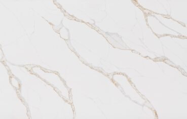 CitiQuartz 3022 countertop surface